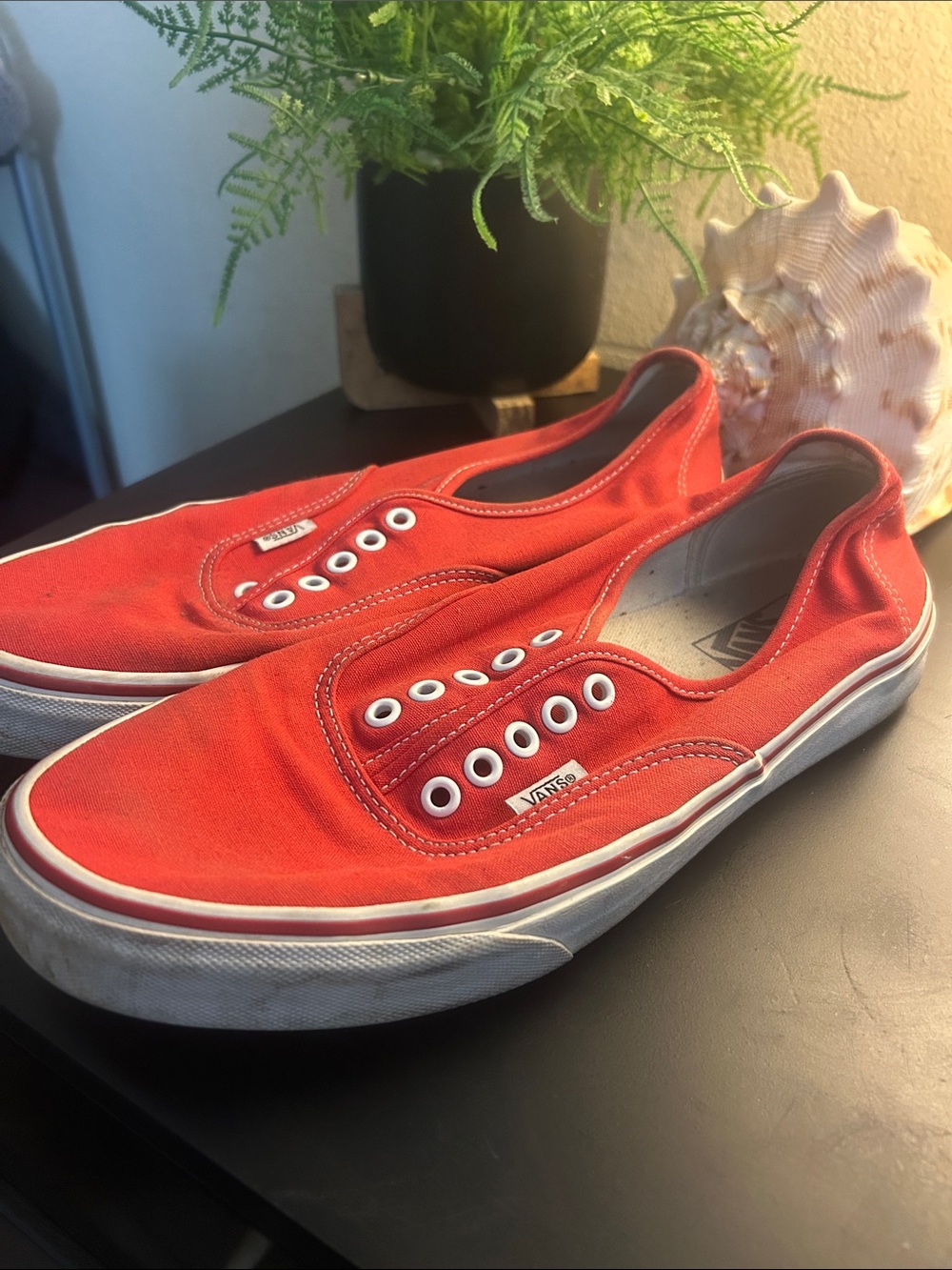 Vans Men's Canvas Sneakers in Red with White Trim